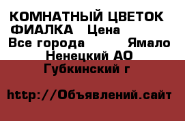 КОМНАТНЫЙ ЦВЕТОК -ФИАЛКА › Цена ­ 1 500 - Все города  »    . Ямало-Ненецкий АО,Губкинский г.